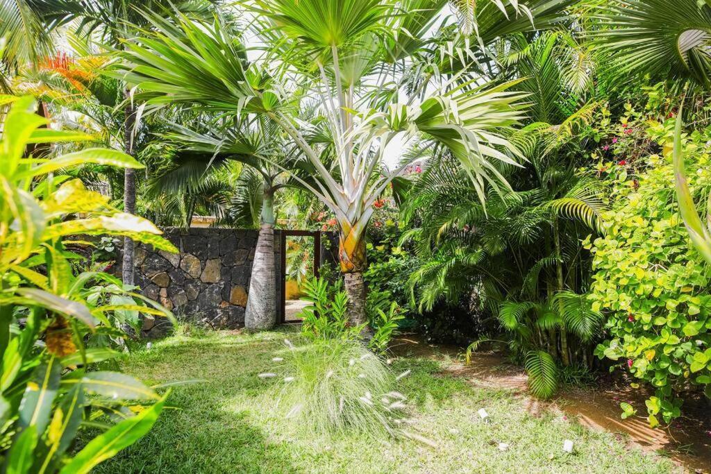Villa Tropicale Balinaise Intimiste Гранд-Бэй Экстерьер фото